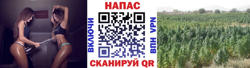 Виды наркотиков купить Карабаш Гашиш  Alpha PVP  Меф  МЕТАДОН  МАРИХУАНА 