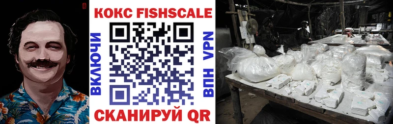 COCAIN Fish Scale  купить наркоту  Карабаш 