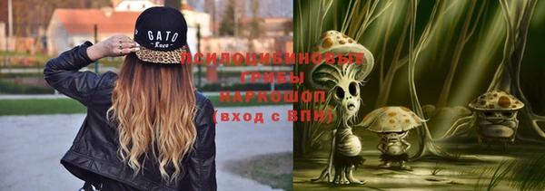 дживик Арсеньев