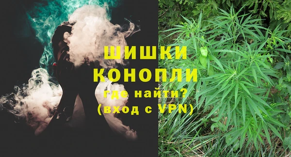 дживик Арсеньев