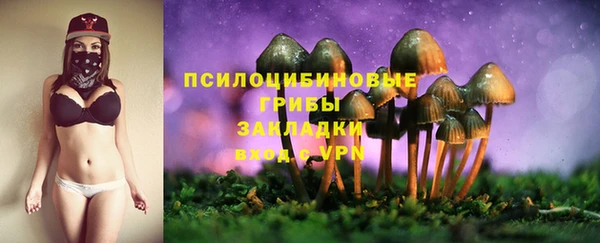 ALPHA PVP Армянск