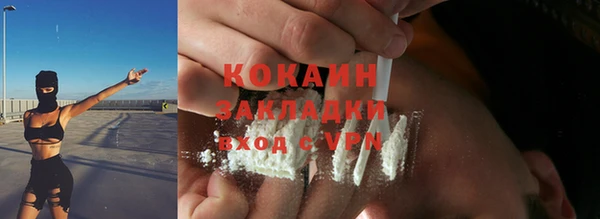 дживик Арсеньев