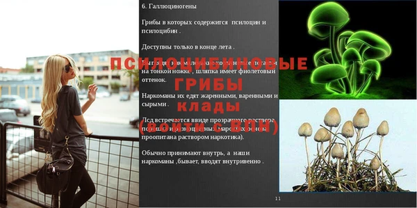 ALPHA PVP Армянск