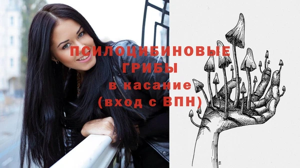 дживик Арсеньев